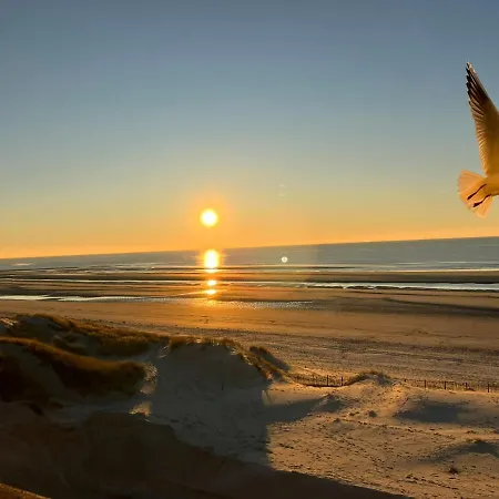 50 M De La 100 M Centre