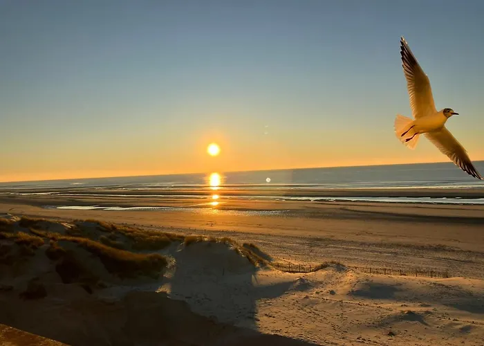 50 M De La 100 M Centre