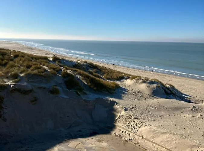 50 M De La 100 M Centre * Berck