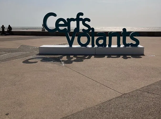 50 M De La 100 M Centre