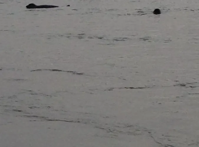 50 M De La 100 M Centre